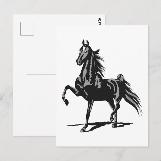 American Saddlebred Briefkaart (Voorkant / Achterkant)