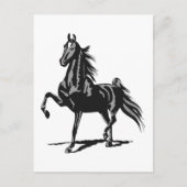 American Saddlebred Briefkaart (Voorkant)