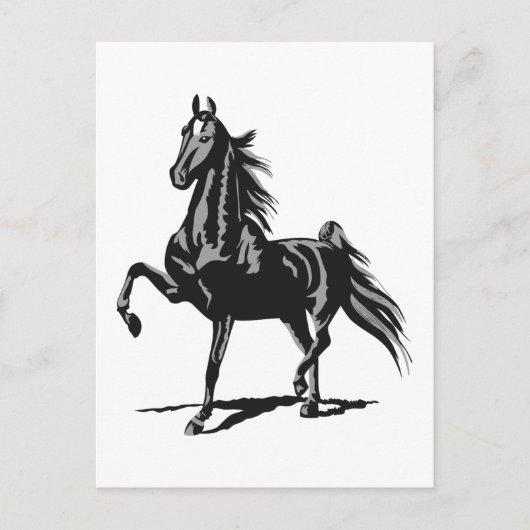 American Saddlebred Briefkaart (Voorkant)