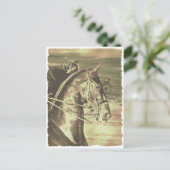 American Saddlebred Faux Briefkaart (Staand voorkant)