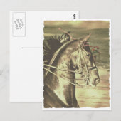 American Saddlebred Faux Briefkaart (Voorkant / Achterkant)