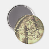 American Saddlebred Faux Magneet (Voorkant / Achterkant)