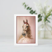 American Saddlebred Horse Briefkaart (Staand voorkant)