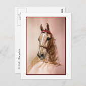 American Saddlebred Horse Briefkaart (Voorkant / Achterkant)