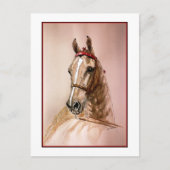 American Saddlebred Horse Briefkaart (Voorkant)