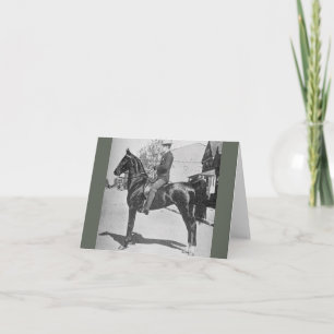 American Saddlebred Horse –  Show Foto Kaart