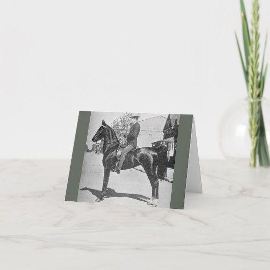 American Saddlebred Horse –  Show Foto Kaart (Voorkant)