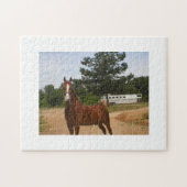 American Saddlebred Puzzle Legpuzzel (Horizontaal)