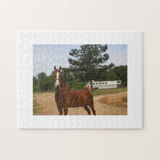 American Saddlebred Puzzle Legpuzzel (Horizontaal)