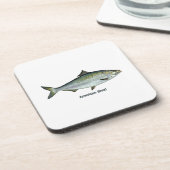 American Shad Onderzetter (Linkerzijde)
