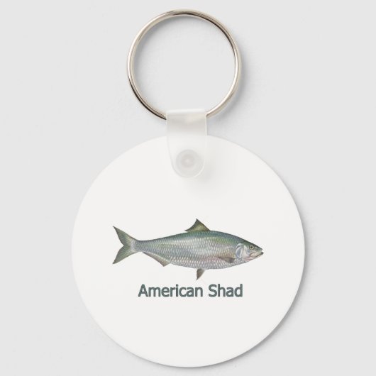American Shad (titel) Sleutelhanger (Voorkant)