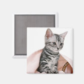 American Shorthair 2 Magneet (Voorkant / Achterkant)