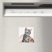 American Shorthair 2 Magneet (Insitu (Vaatwasser))