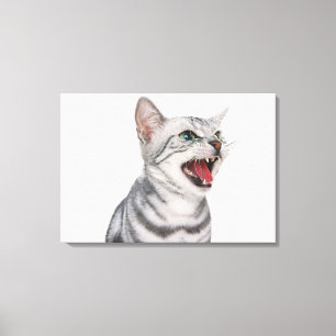 American Shorthair 5 Canvas Afdruk
