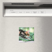 American Shorthair 7 Magneet (Insitu (Vaatwasser))