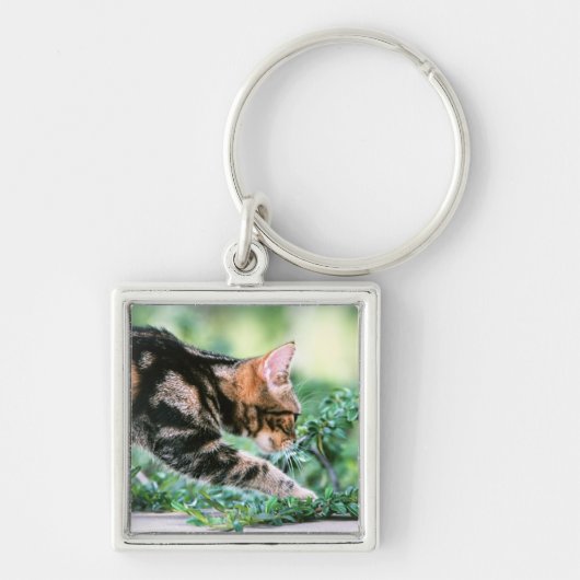 American Shorthair 7 Sleutelhanger (Voorkant)