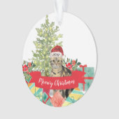 American Shorthair brown Tabby kerst Ornament (voorkant)