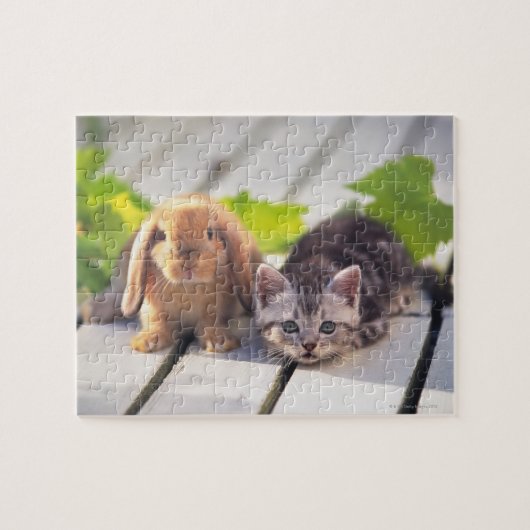 American Shorthair & Bunny Legpuzzel (Horizontaal)