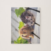 American Shorthair & Bunny Legpuzzel (Verticaal)