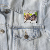 American Shorthair & Bunny Vierkante Button 5,1 Cm (In situ)