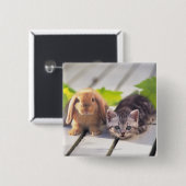 American Shorthair & Bunny Vierkante Button 5,1 Cm (Voorkant /achterkant)