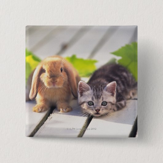 American Shorthair & Bunny Vierkante Button 5,1 Cm (Voorkant)
