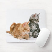 American Shorthair Cat 2 Muismat (Met muis)