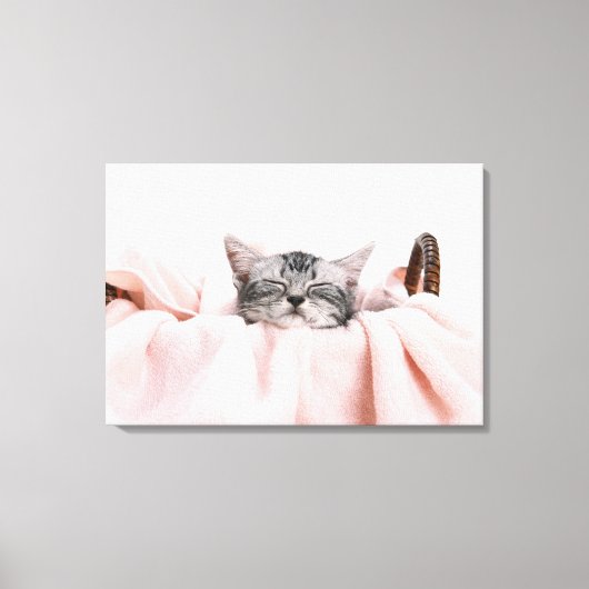 American Shorthair Cat Canvas Afdruk (Voorkant)