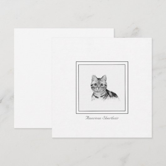 American Shorthair Cat Drawing Flat Note Card Notitiekaartje (Voorkant / Achterkant)