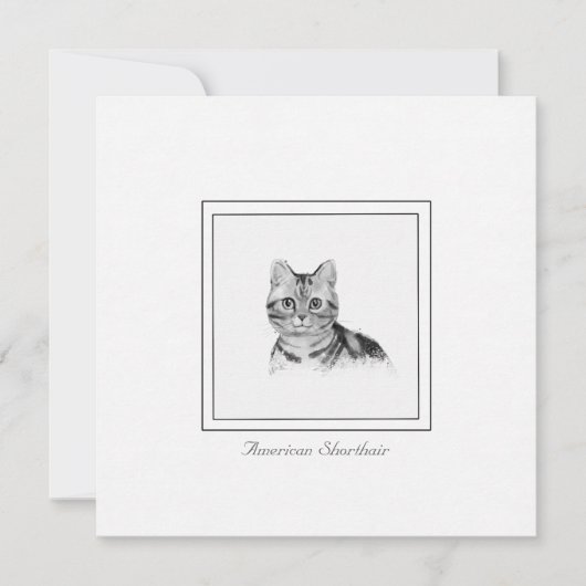 American Shorthair Cat Drawing Flat Note Card Notitiekaartje (Voorkant)
