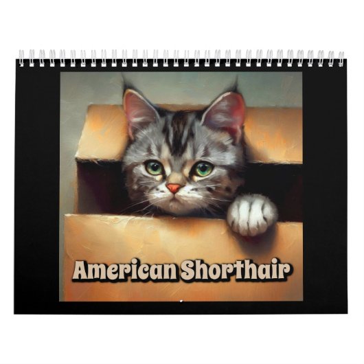 American Shorthair Cat Kalender (Hoes)