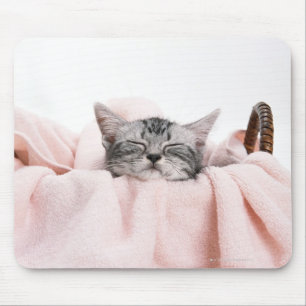 American Shorthair Cat Muismat
