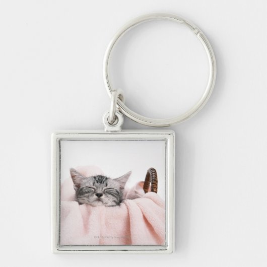 American Shorthair Cat Sleutelhanger (Voorkant)