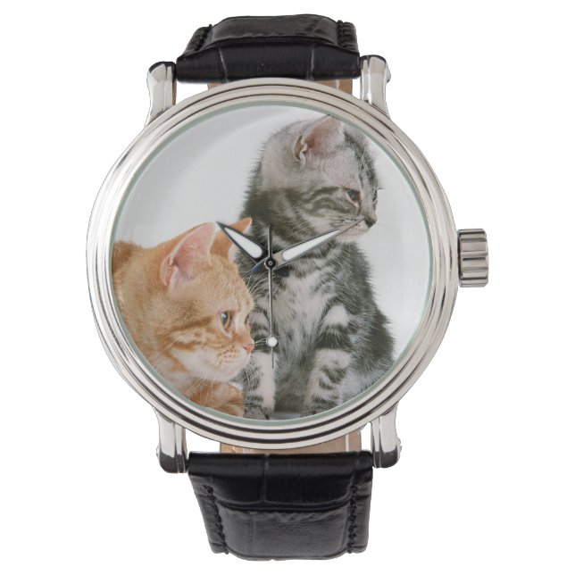 American Shorthair Horloge (Voorkant)