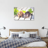 American Shorthair; is de populairste en meest pop Canvas Afdruk (Insitu (Slaapkamer))