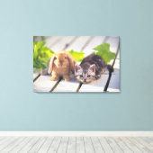 American Shorthair; is de populairste en meest pop Canvas Afdruk (Insitu (Houten vloer))