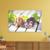 American Shorthair; is de populairste en meest pop Canvas Afdruk (Insitu (Woonkamer))