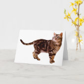 American Shorthair Kaart (Gele Bloem)