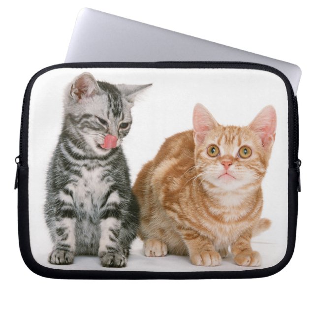 American Shorthair Laptop Sleeve (Voorkant)