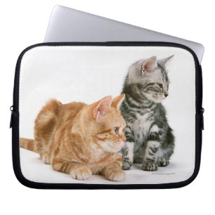 American Shorthair Laptop Sleeve