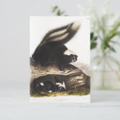 American Skunk Portrait Kaart (Staand voorkant)