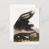 American Skunk Portrait Kaart (Voorkant / Achterkant)