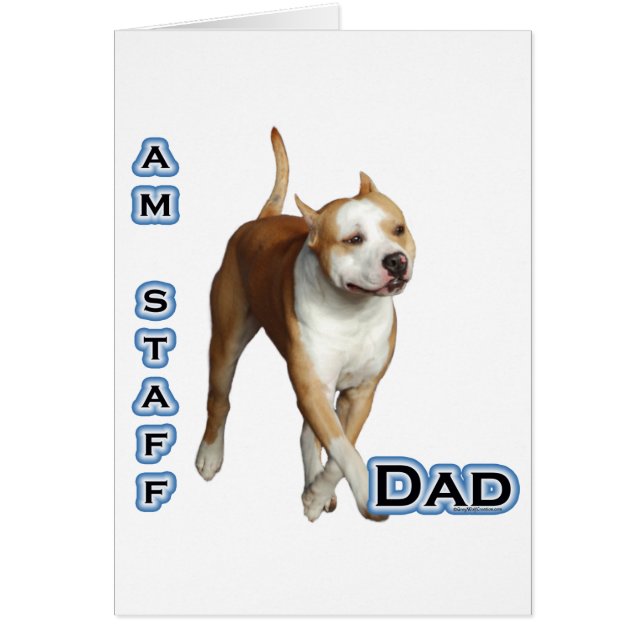 American Staffordshire Dad 4 (Voorkant)