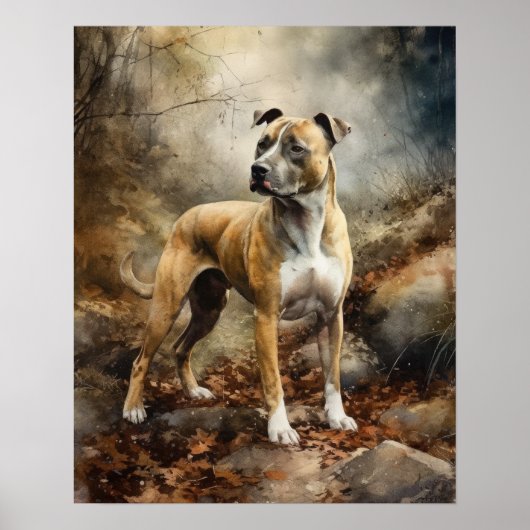American Staffordshire Dog Art Print Poster (Voorkant)