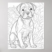American Staffordshire Hond Volwassen Kleurplaten Poster (Voorkant)