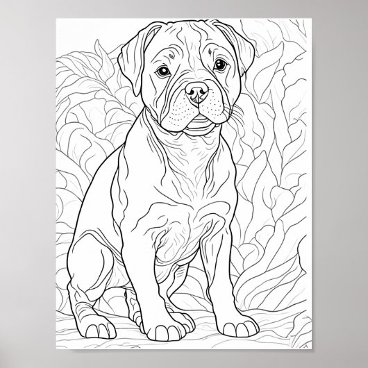American Staffordshire Hond Volwassen Kleurplaten Poster (Voorkant)