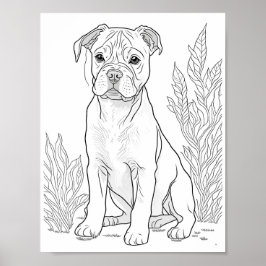 American Staffordshire Hond Volwassen Kleurplaten Poster