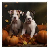 American Staffordshire Puppy Herfst Verrukking Perfect Poster (Voorkant)