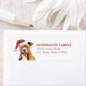 American Staffordshire Retour Adres Labels (Insitu)