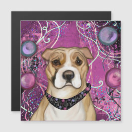 AMERICAN STAFFORDSHIRE TERRIËR